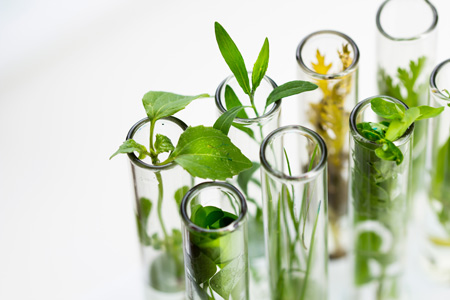 Laboratoire Lorica